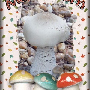 ATC-2017-142-Mushroom