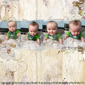 Learning To Crawl