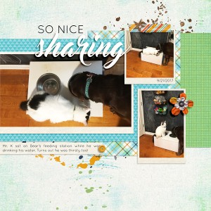 So Nice Sharing