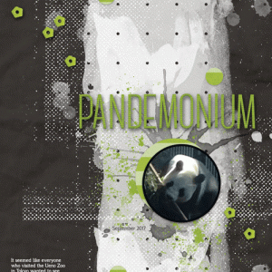 Panda-japan-web