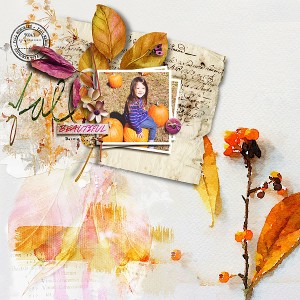 Beautiful Fall
