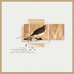 TLP_scraplift_sept_ww