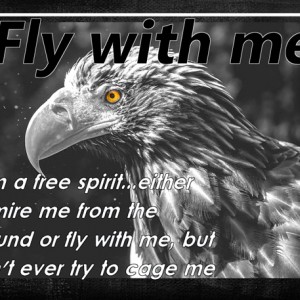 Fly-with-me