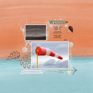 Windy