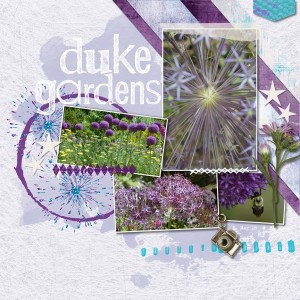 Stars In Duke Gardens