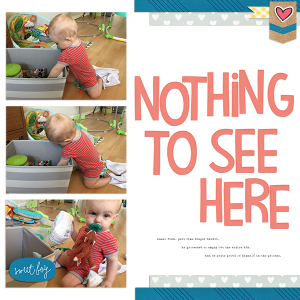 nothing to see here