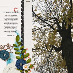 Autumn tree