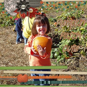 pumpkin patch cutie