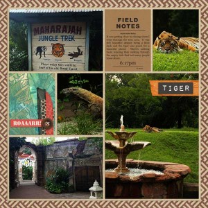 1.20: Maharajah Jungle Trek