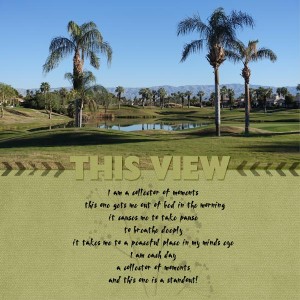 This View