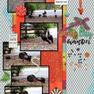 2017-10_October-TLP_Photography_web
