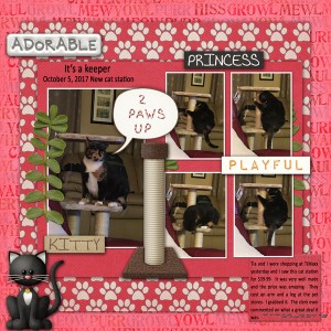 PS - TLP 10 6 17