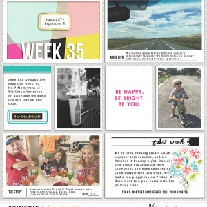 2017 week 35 - left side