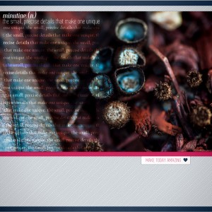 CapturedDetails