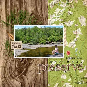 Little River Canyon National Preserve- June 2016