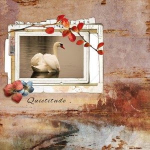 Quietitude