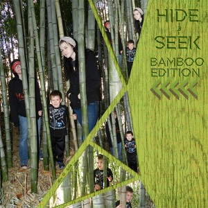 Hide&Seek
