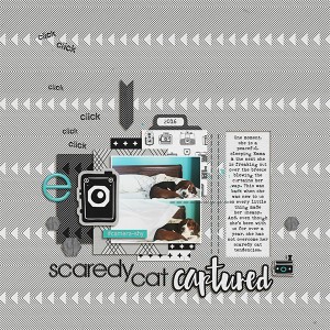 Scaredy Cat Captured