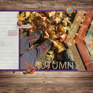 DSD MIS - Autumn