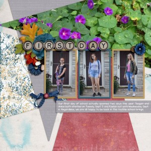 SwL_MIS_2017_10