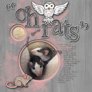 Dave-mice-web