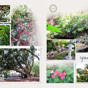 Selby Gardens