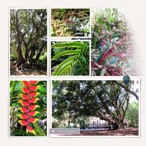 Selby Gardens,left side