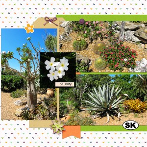 The Desert at Selby Gardens, right side