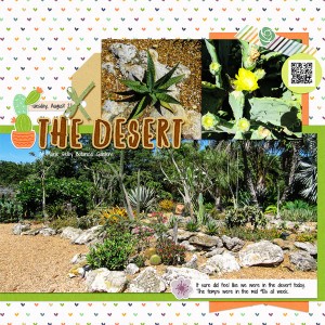 The Desert at Selby Gardens, left side