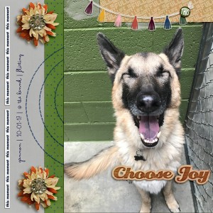 Choose Joy