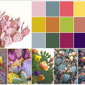 mood board 1
