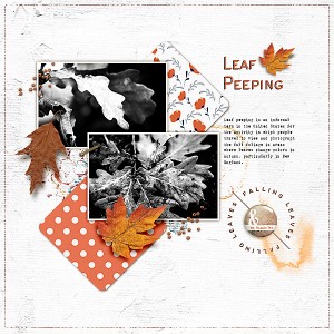 Leaf Peeping (QSS 10/8 w/Justine)