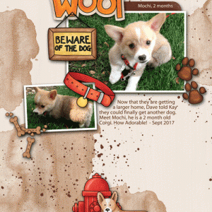 Dave-mochi-puppy
