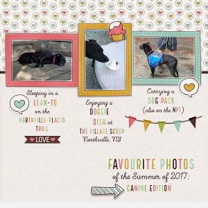 Favourite Photos: Canine Edition