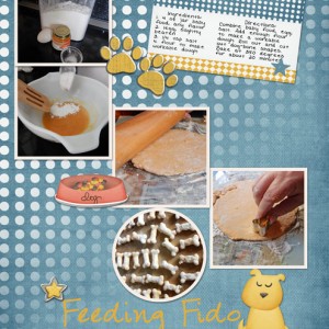 Feeding-Fido