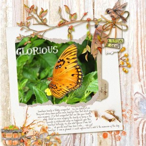 Autumn Butterfly