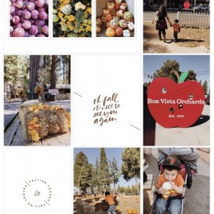 Autumn vibes 2