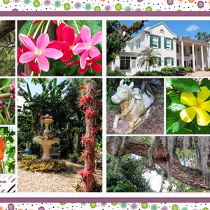 More Selby Gardens Pictures