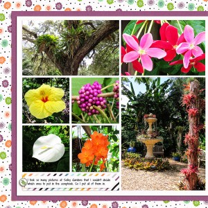 More Selby Gardens Pictures_left