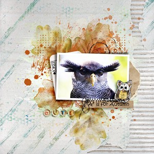 Owl