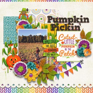 Pumpkin Pickin'