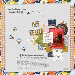 Bee Rescue