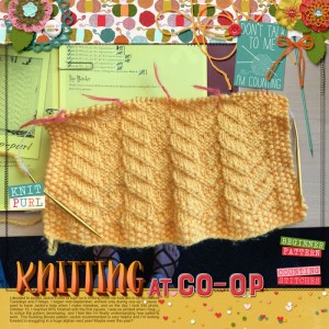 knitting at co-op