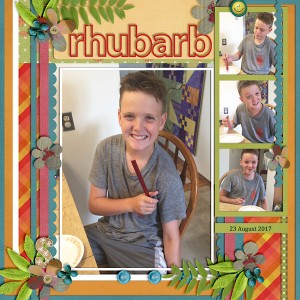 Rhubarb