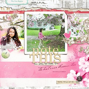 Best ever blossoms