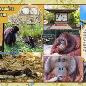 Columbus Zoo2