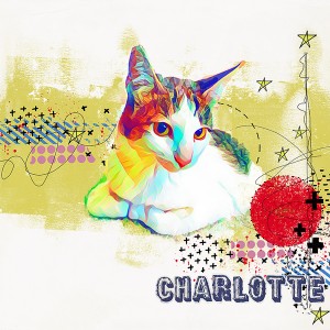 charlotte