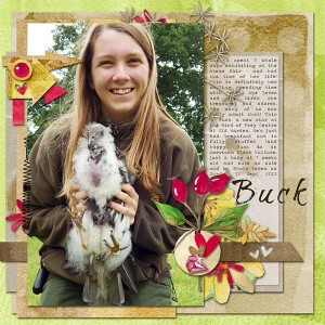 Buck