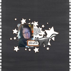 Skunk