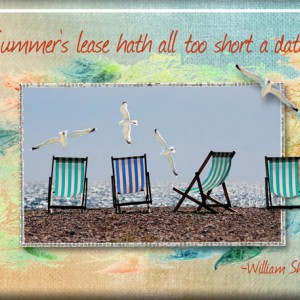Monthly Muse October 2017 - Week 3:  ATC-2017-159-Summer